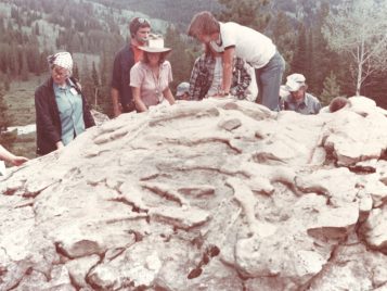 Photograph of a large, unevenly textured rock that people are looking at. A male student has climbed on top of the rock for a better view.